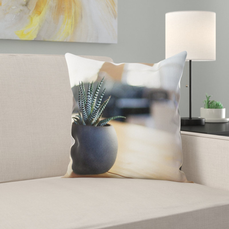 Coussin de plante