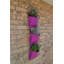 LosPalmos Wall Planter-13637869