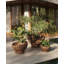 Luna Planter-921280413-921280416