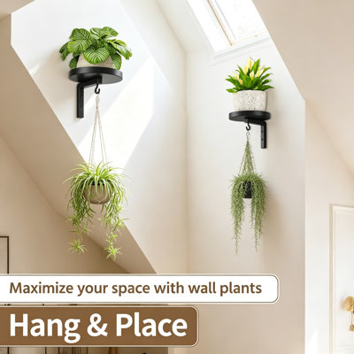 Plant Hangers Shelves Wall Mounted Indoor, Metal Window Plant Holders, 4-Pack Modern Floating Flower Display Stand with 4 Hooks for Kitchen Bathroom Outdoor Decor, Black
