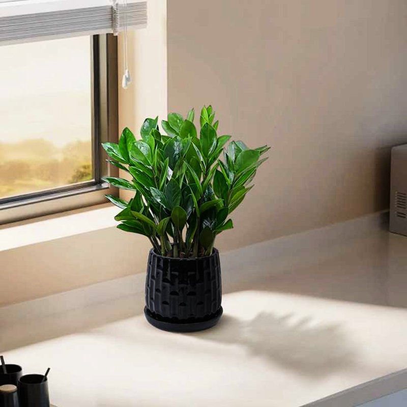 Jardinière en céramique durable, noir brillant, élégance moderne pour les espaces intérieurs et extérieurs