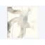 « divination ii », reproduction sur toile-72785088-72785082-29091798