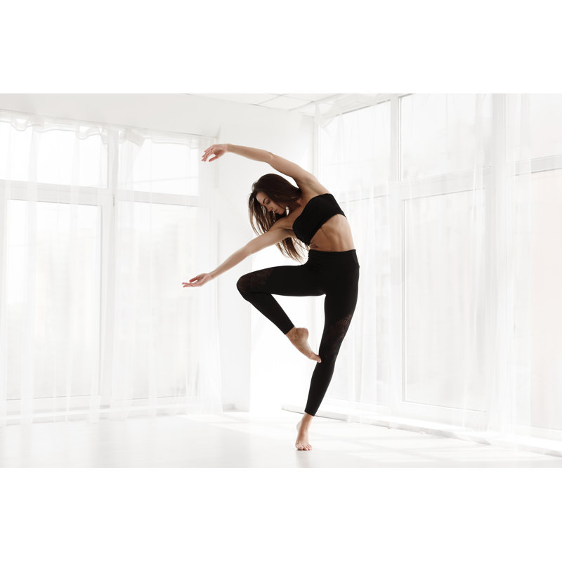 Graceful Dancer - Wrapped Canvas Print, 30cm H x 46cm W x 3.8cm D