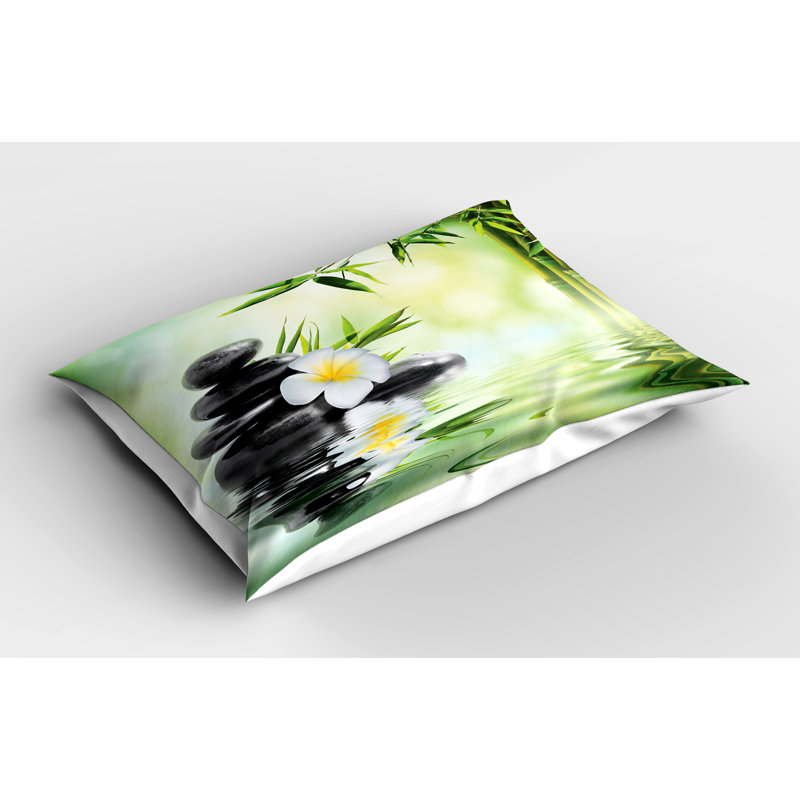 Ensemble de 2 taies décoratives Ambesonne Garden - gris anthracite et vert pâle, H 20 po x l 36 po