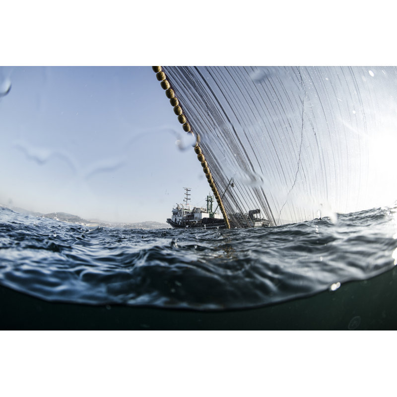 Industrial Fishing And Collapse Of Fisheries by Mgokalp - Wrapped Canvas Print, 30Cm H x 46Cm W