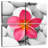 Kerrick Zen Flower
