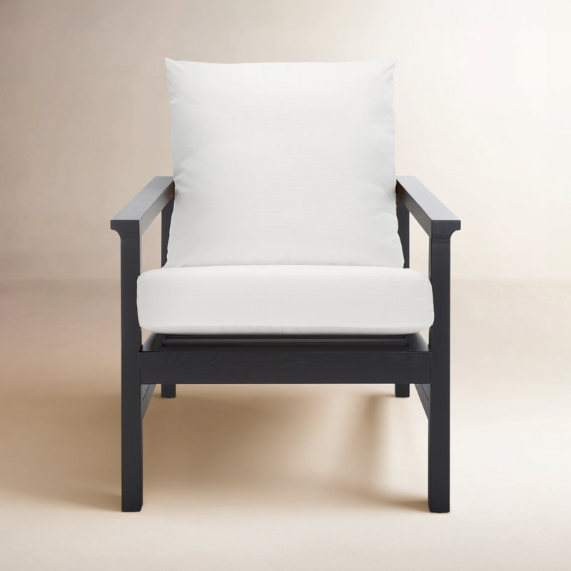 Dianne 27.6" W Armchair, Black