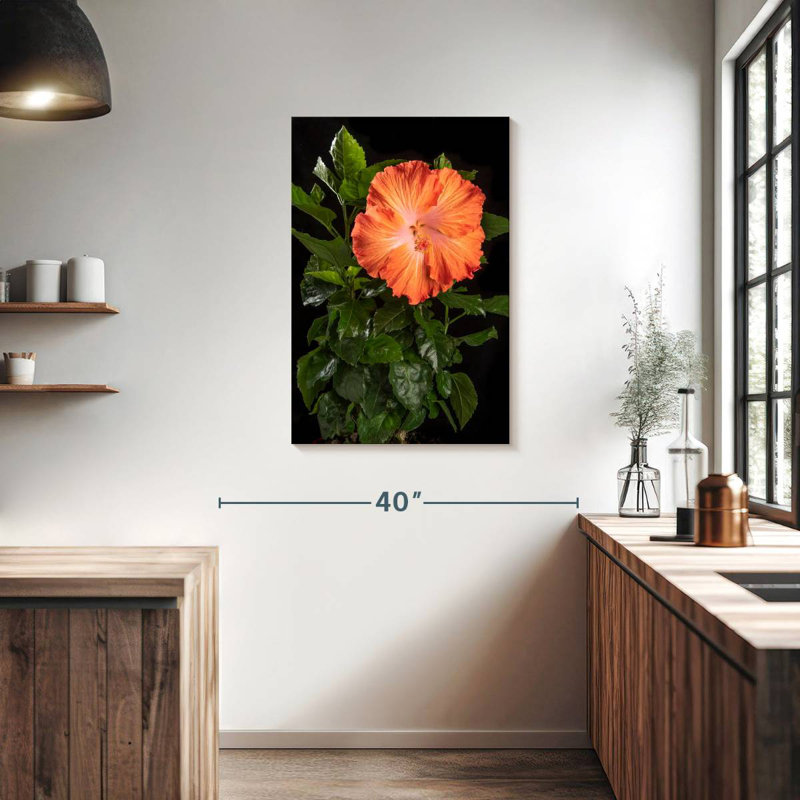 Harnek fleur orange d'hibiscus hawaïen, H 36 po x l 24 po