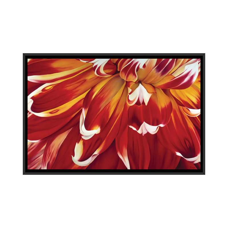 « redony », impression sur toile, H 18 po x l 26 po x P 1,5 po, Toile avec cadre noir, Pas de tapis