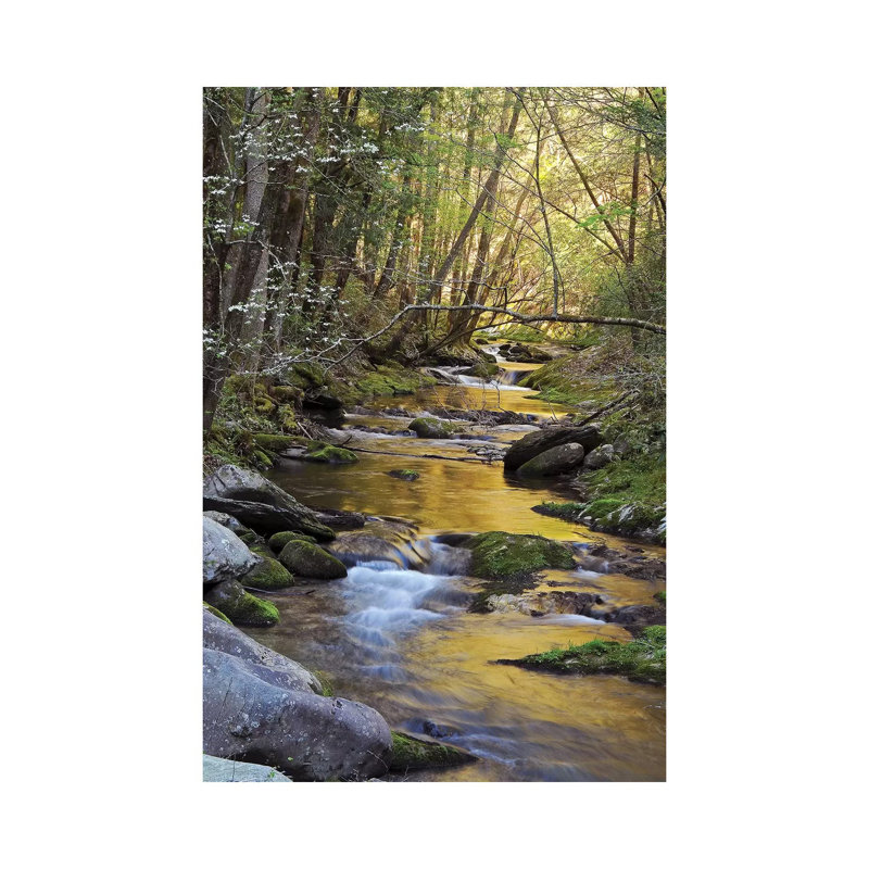 Springtime Creek 1 Piece Wrapped Canvas Wall Art, 45.72cm H x 30.48cm W x 1.91cm D