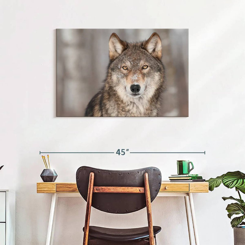 Brampt Gray Wolf Stare, 24" H x 36" W