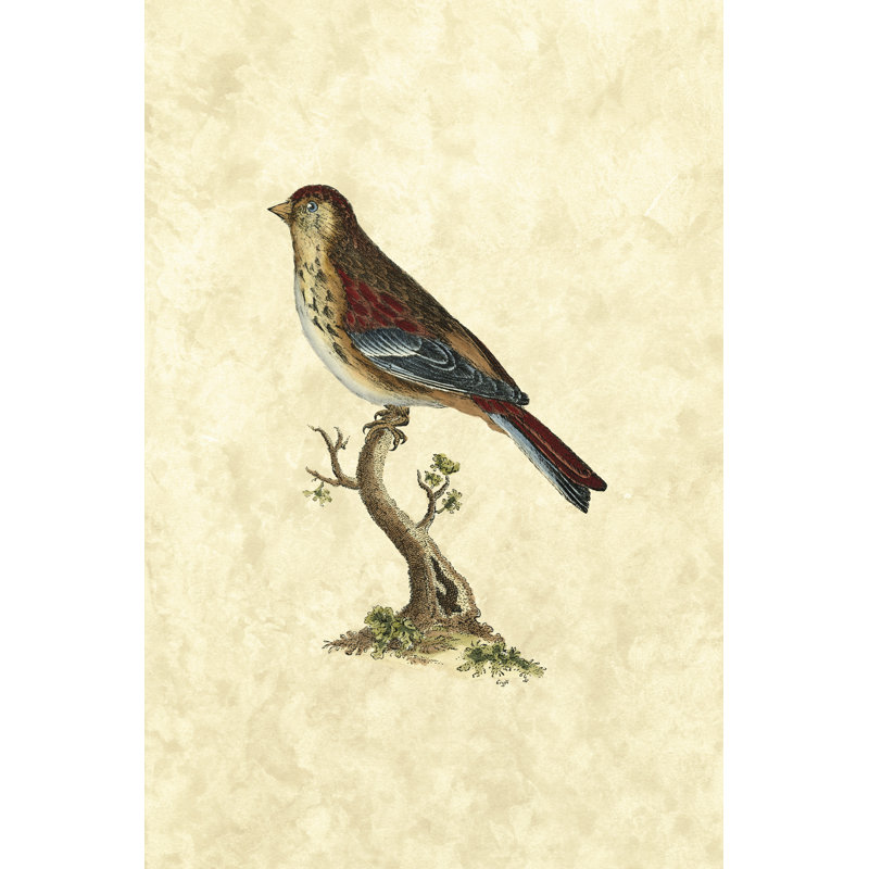 Selby Birds IV - Wrapped Canvas Painting, 30cm H x 20cm W x 3.8cm D