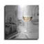 «White Wine» par Alan Blaustein - impression sans cadre sur métal-1401221150