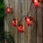 67'' String Lights-88952246