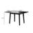 Tenaya Extending Dining Table-1471701580