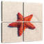 Coussin Aletra-109111940