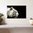 Brampt Curious White Tiger-107682737