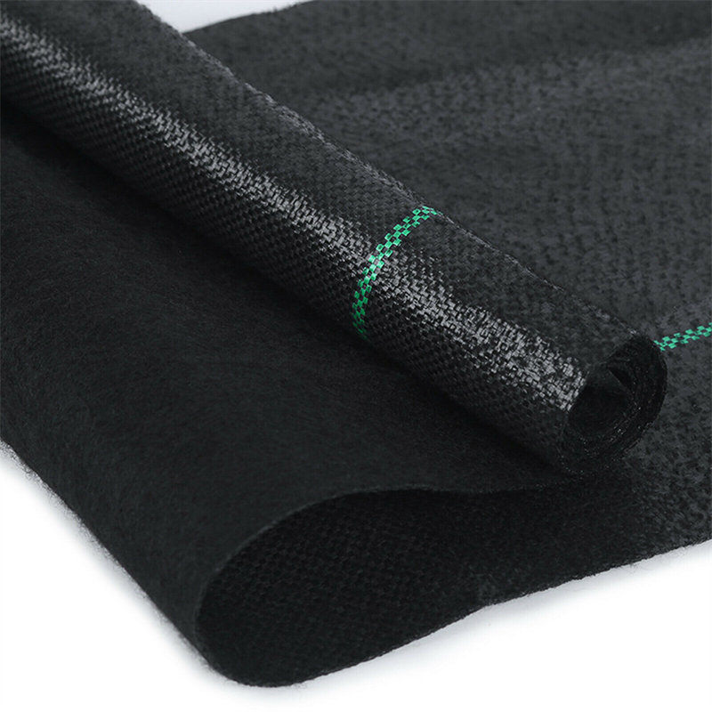 Tapis de propagation, L 72 po x L 2400 po