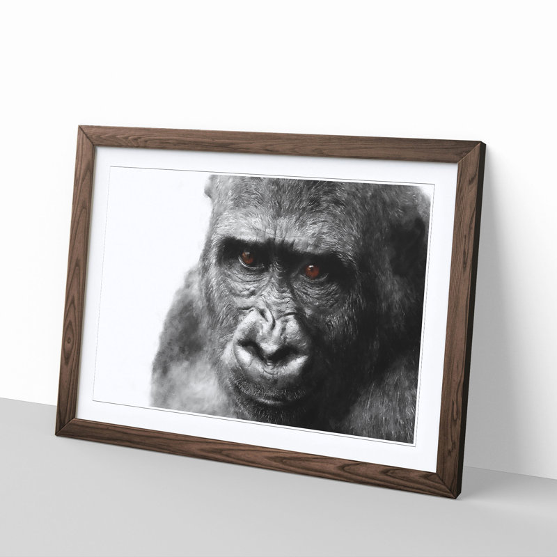 Gorilla with Brown Eyes - Picture Frame Graphic Art Print, 62cm H x 87cm W x 2cm D, Walnut Framed
