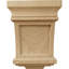 Corbeau de Santa Fe-58550657