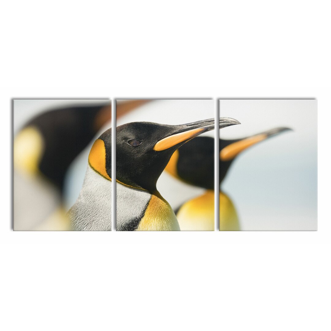 3-tlg. Leinwandbilder-Set Pinguine