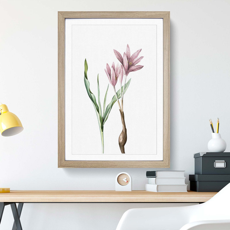 Pink Autumn Crocus Flowers by Pierre-Joseph Redoute - Picture Frame Painting Print, 65cm H x 48cm W x 2cm D, Oak Framed