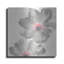 «Gray Blush Cosmos II» par Chris Paschke-1625134340