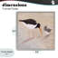 «American Oyster Catcher & Chicks», estampe numérique, conception par Barbara Fallenbaum-526889196-526889197
