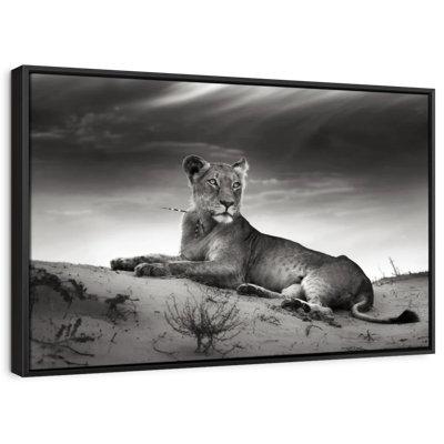 Animal «Lioness Canvas Print»