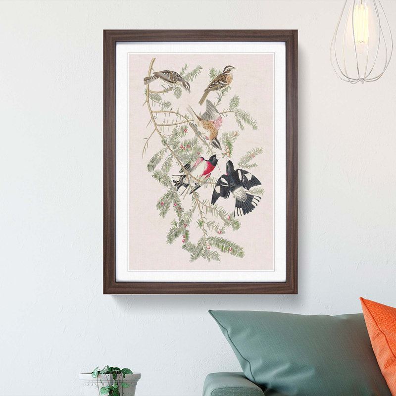 Rose-Breasted Grosbeak by John James Audubon - Picture Frame Graphic Art Print, Walnut, 50cm H x 35cm W x 2cm D