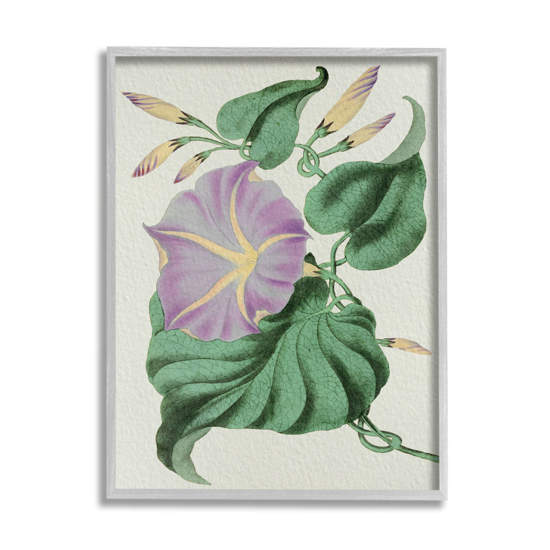 Étude florale rétro mauve jaune matin, H 20 po x l 16 po, Estampe numérique Farmhouse