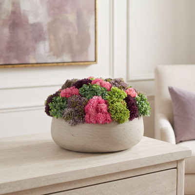 Arrangement de Sedum dans un pot de fleurs en fibre de pierre