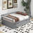 Emele Twin Daybed with Trundle-91607497