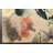 Dossett Floral Hand-Tufted Beige/Brown/Pink Area Rug-32267849