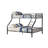Caius Bunk Bed