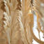 Kaia 6 - Light Chandelier