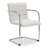 Pedro Dining Chair Mohair Set of Two-1584739079