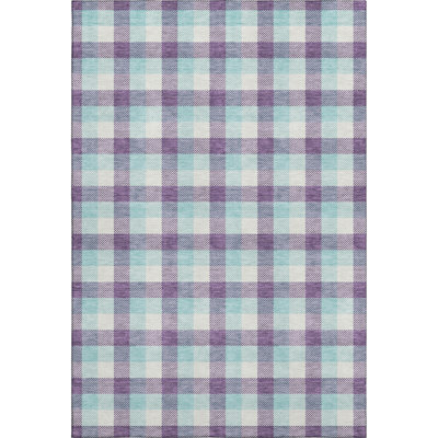 Premium Machine Washable Crumley AMF1053 Plaid Rug