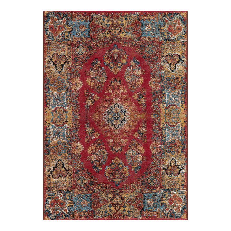 Indoor/Outdoor Traditional Area Rug, Rectangle 4'1" x 6'1"