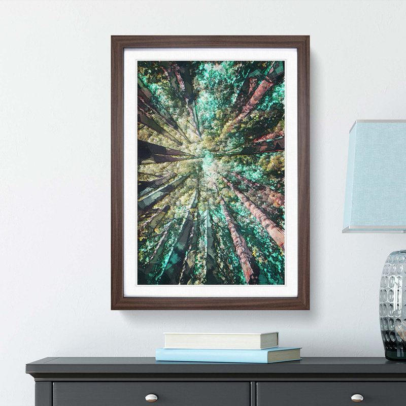 Redwood Trees in California in Abstract - Picture Frame Graphic Art Print, 48cm H x 36cm W x 2cm D, Walnut Framed