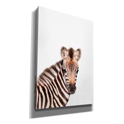 «Baby Zebra» par Tai Prints