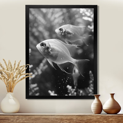 Monogramme d'aquariums de poissons gris gris - Aquariums, salon d'art mural