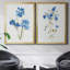 «Blue Blossom Botanical I», ensemble de 2 peintures sur toiles-596050416-596050417
