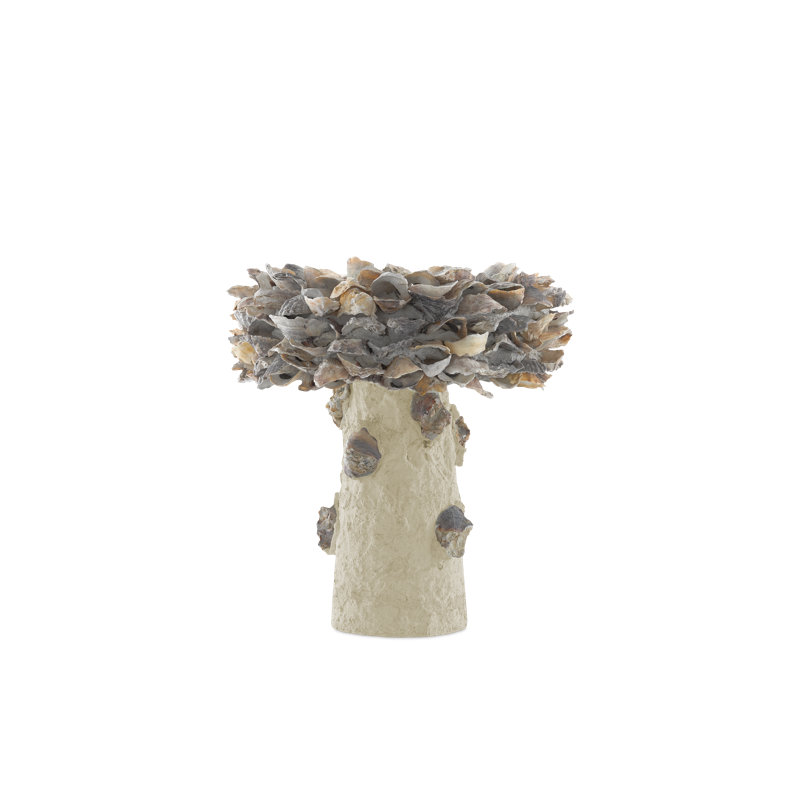 Oyster Shell Birdbath, 14" H x 13.5" W x 13.5" D