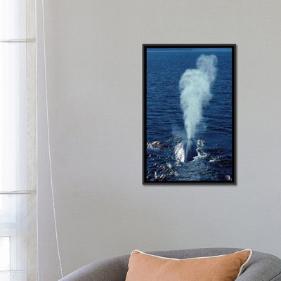 « blue baleine », toile photo imprimée