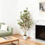 120cm Plant