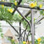 Exquise arche de treillis de jardin en métal pour un rehaussement extérieur polyvalent