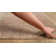 Cusick Indoor Rug