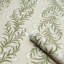 Schumacher x Celerie Kemble Tasmanian Mimosa Wallpaper-552073546