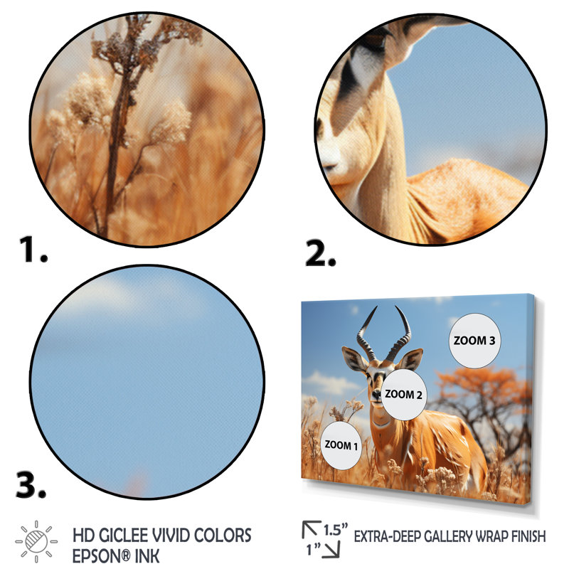 Bekka Antelope Graceful Wanderer, reproduction d'art sur toile, H 30 po x l 40 po x P 1,5 po, Cadre photo noir